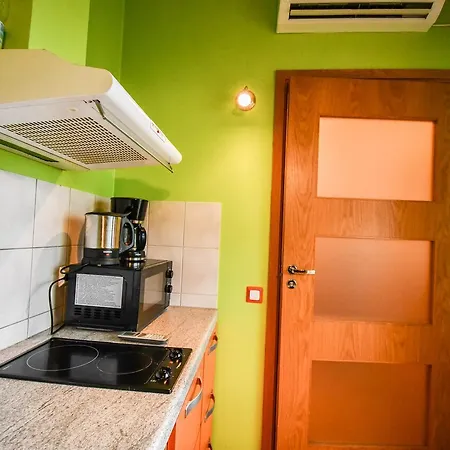 Privat 1room Studioapartment With Terrace Apartmán *